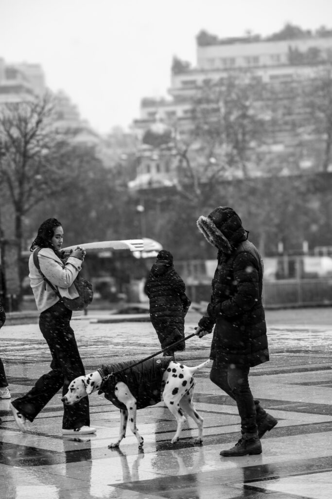 place Trocadéro paris, un passant promenant son chien sous le regard d'un passante, chien dalmatien